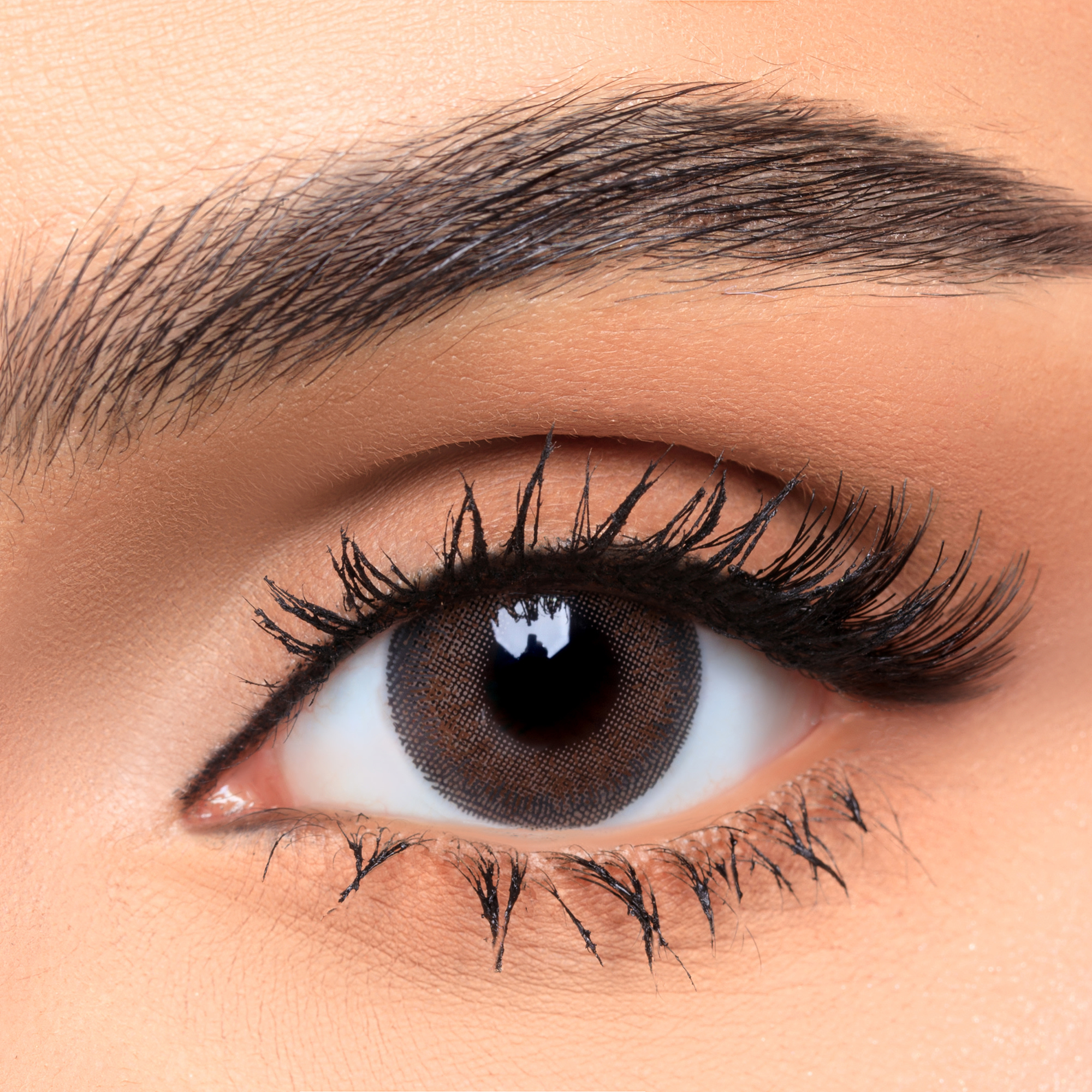 Shop AFLE 1-Day Color Contact Lenses - Tobacco online.