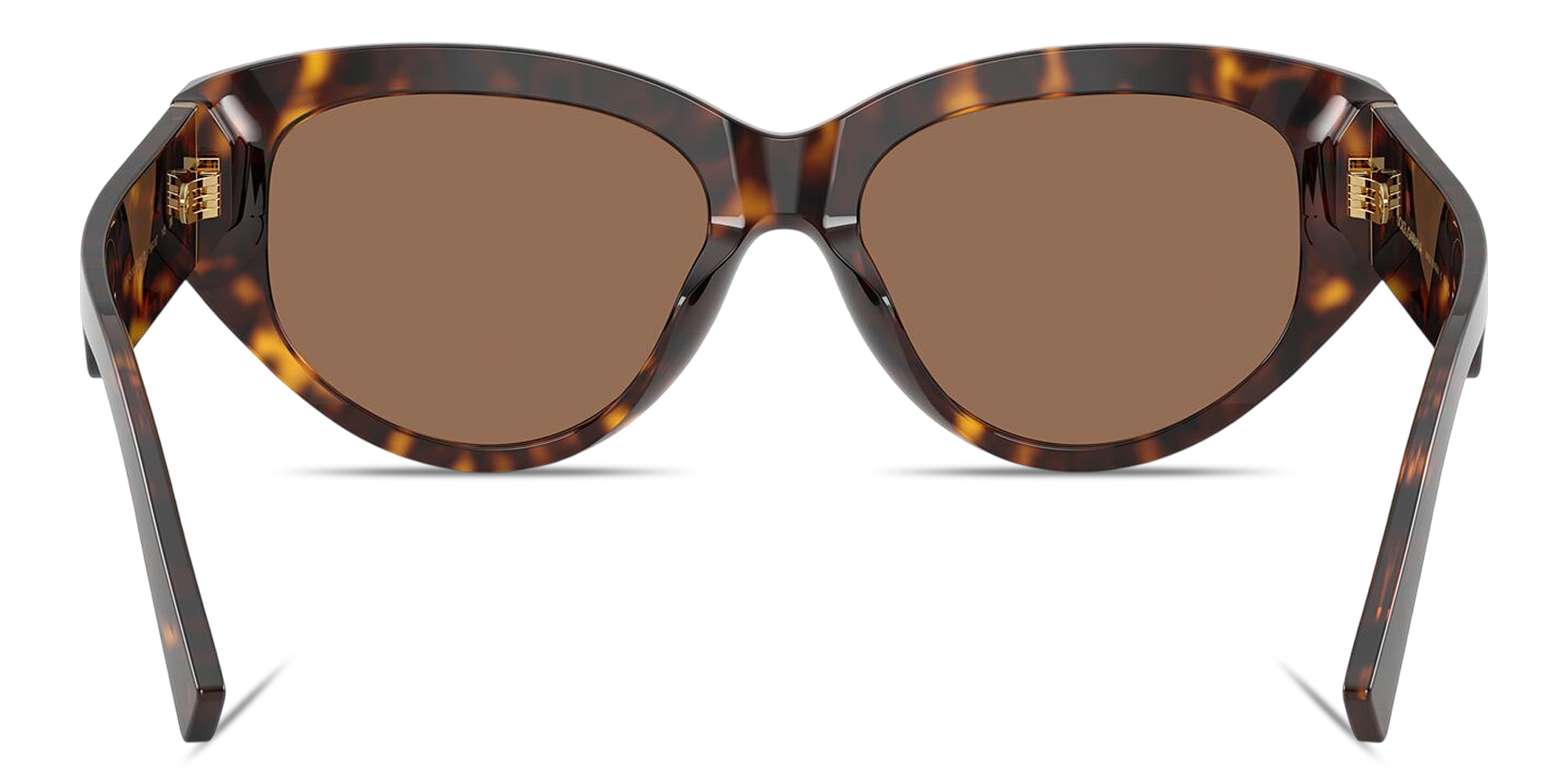 Shop Dolce & Gabbana DG Cat-Eye Sunglasses in Havana online.