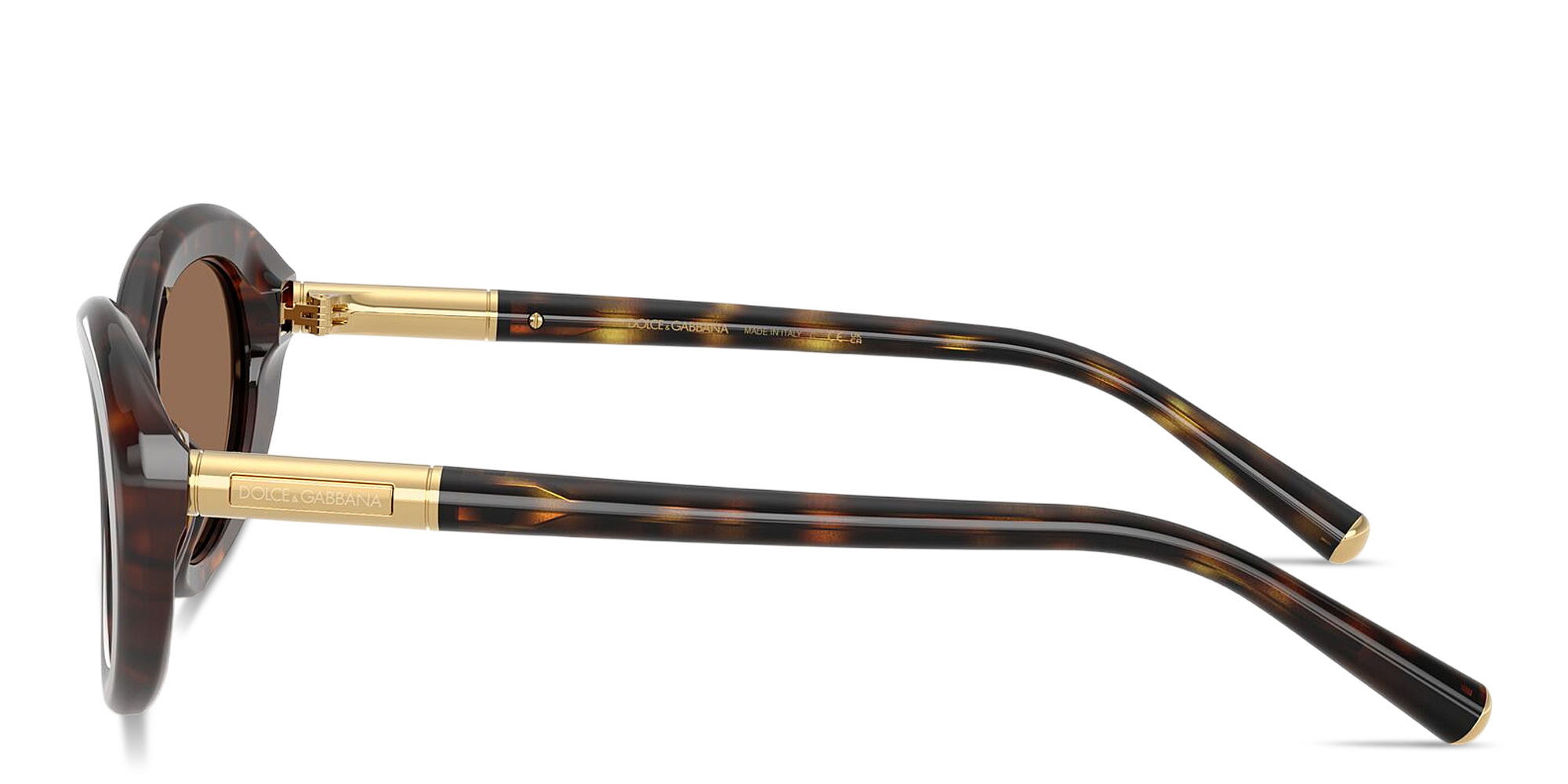 Shop Dolce & Gabbana Engraved Logo Oval Sunglasses in Havana online.