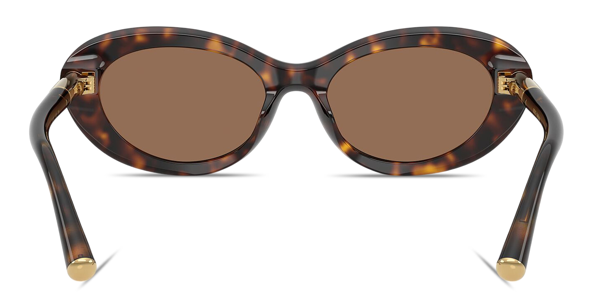 Shop Dolce & Gabbana Engraved Logo Oval Sunglasses in Havana online.