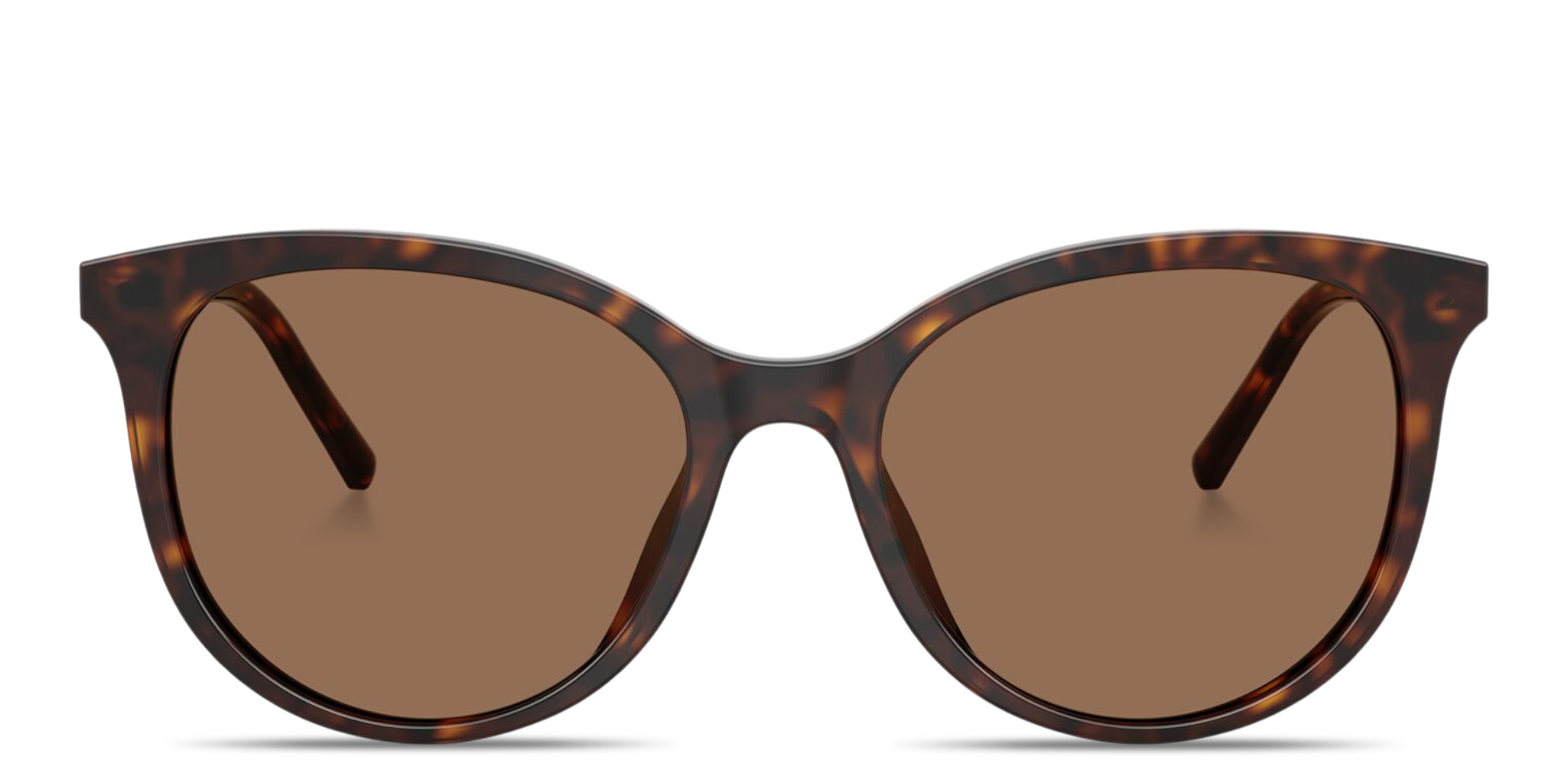 Shop Dolce & Gabbana Logo Signature Panthos Sunglasses in Havana online.