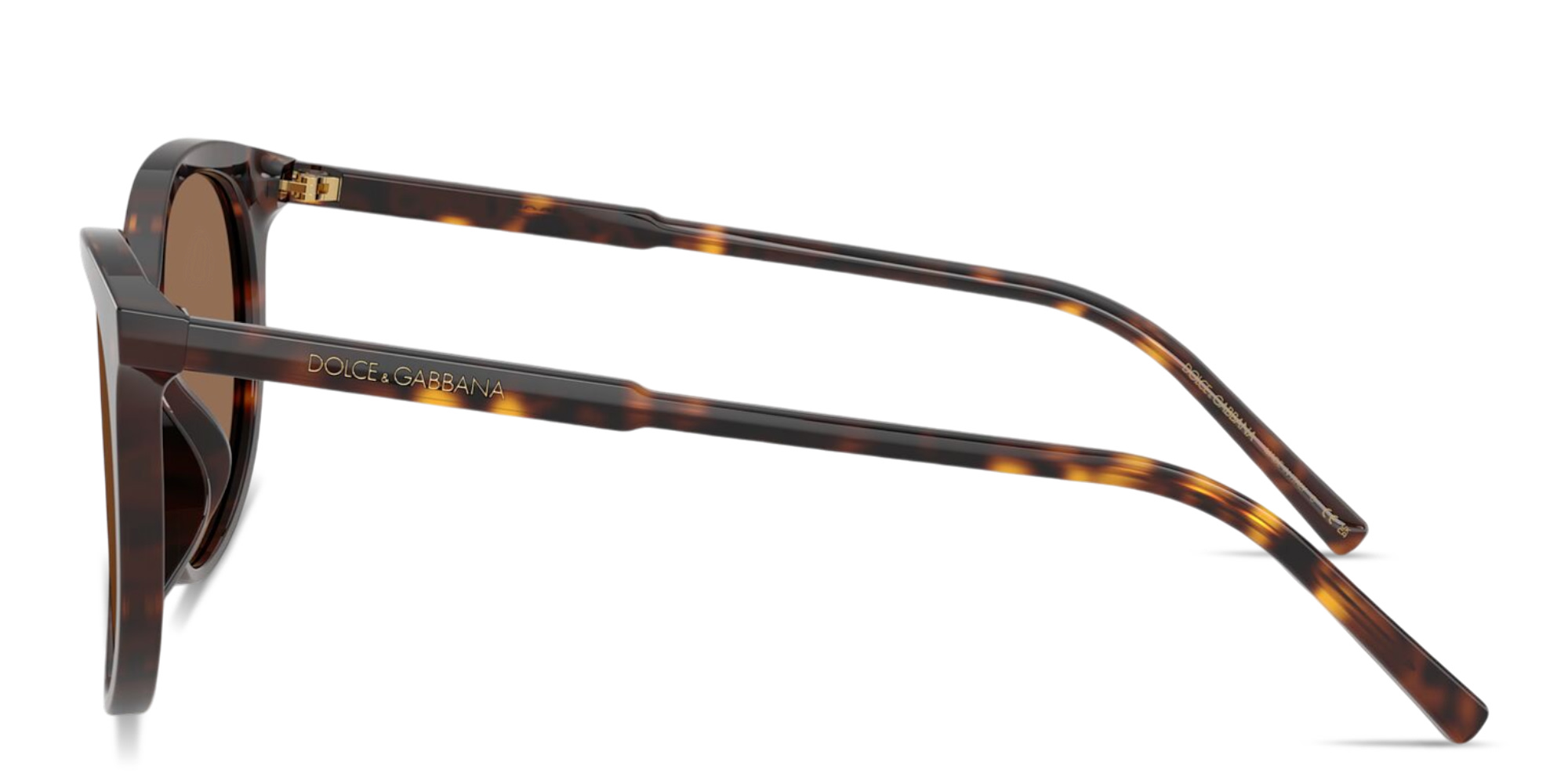 Shop Dolce & Gabbana Logo Signature Panthos Sunglasses in Havana online.