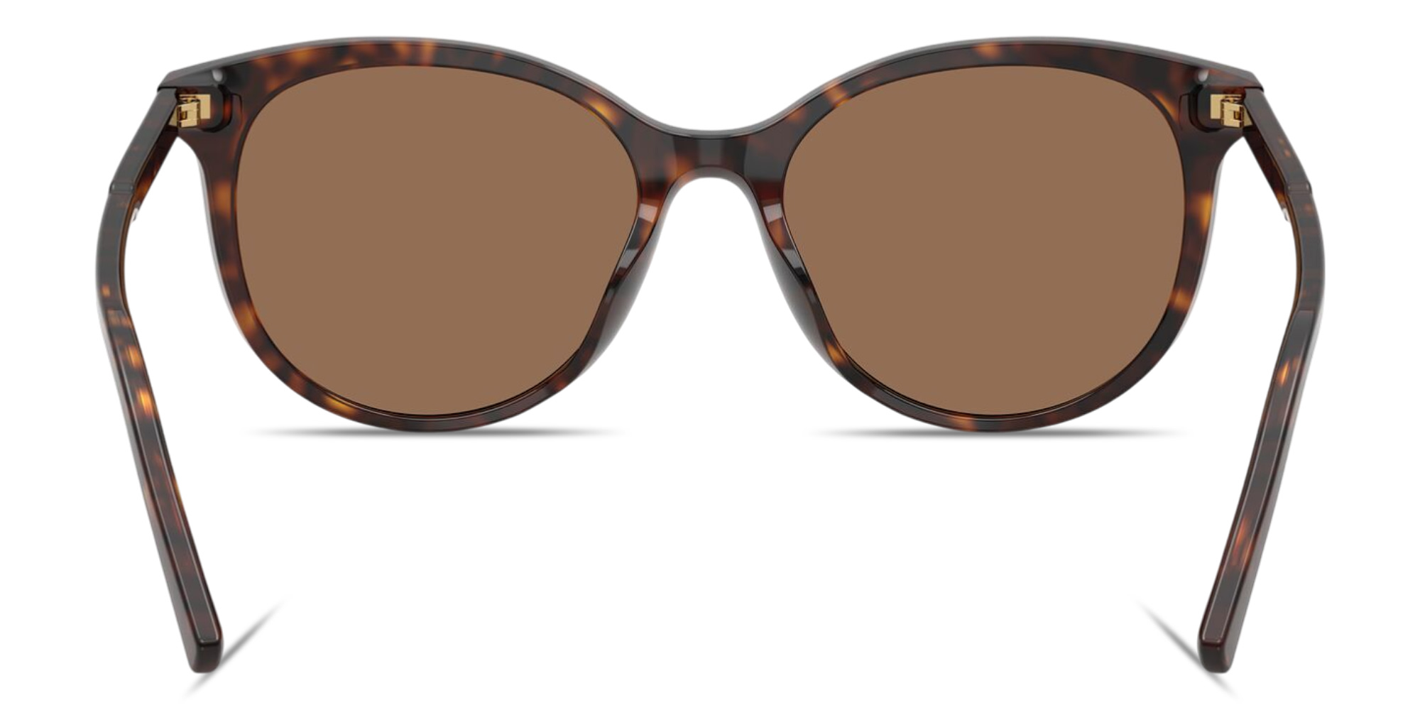 Shop Dolce & Gabbana Logo Signature Panthos Sunglasses in Havana online.