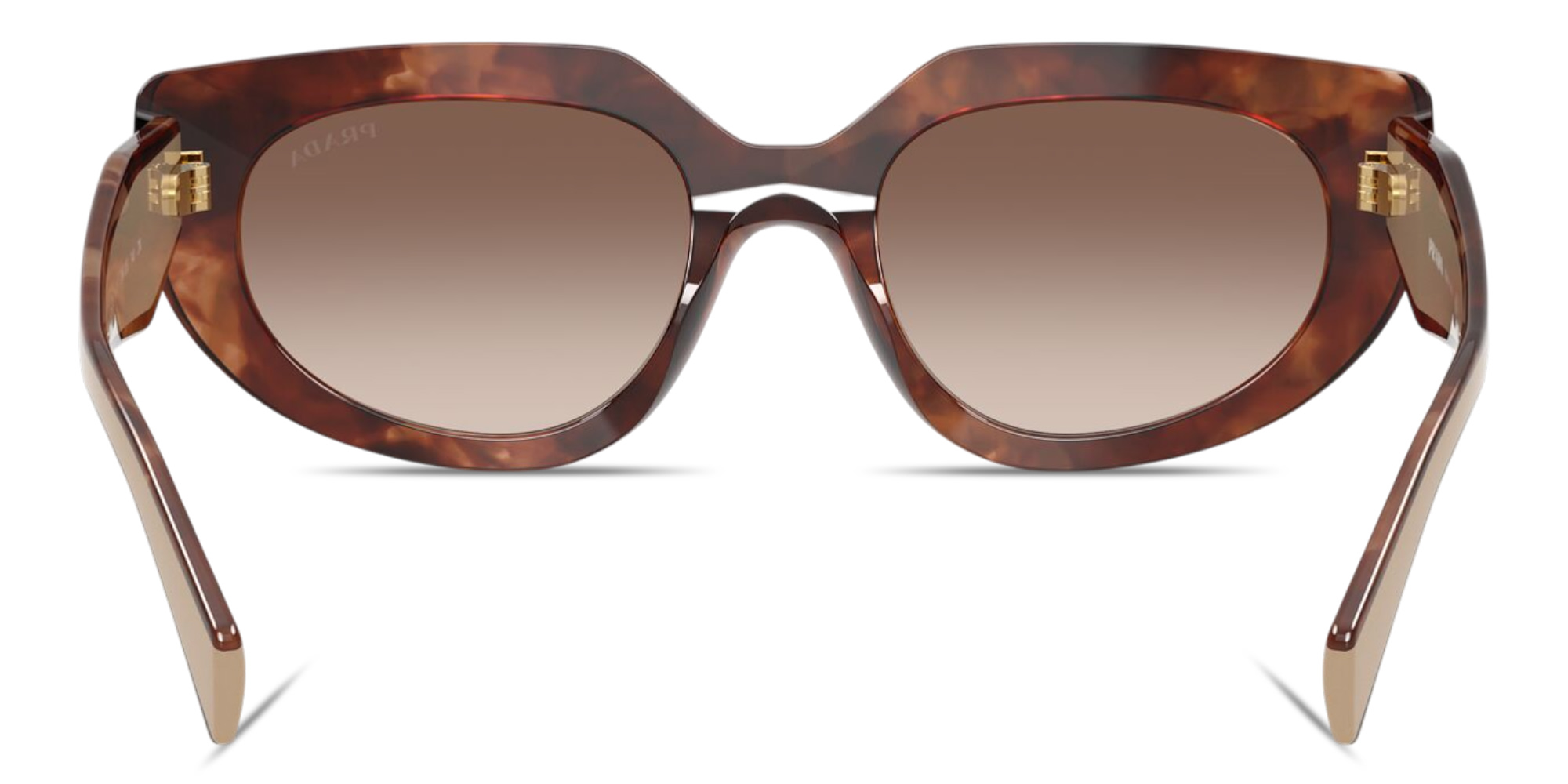 Shop PRADA Logo Signature Oval Sunglasses in Caramel Tortoise online.