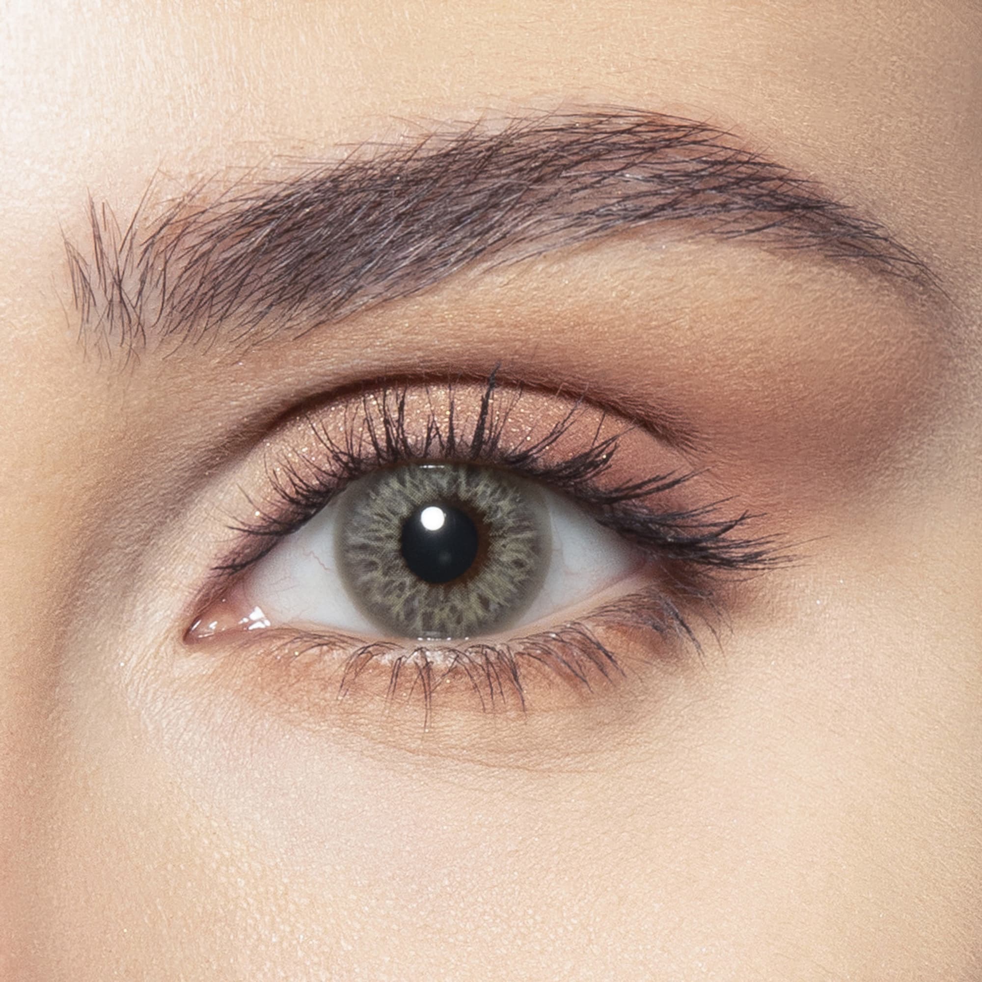 Shop Bella One-Day Color Contact Lenses - Earth online.
