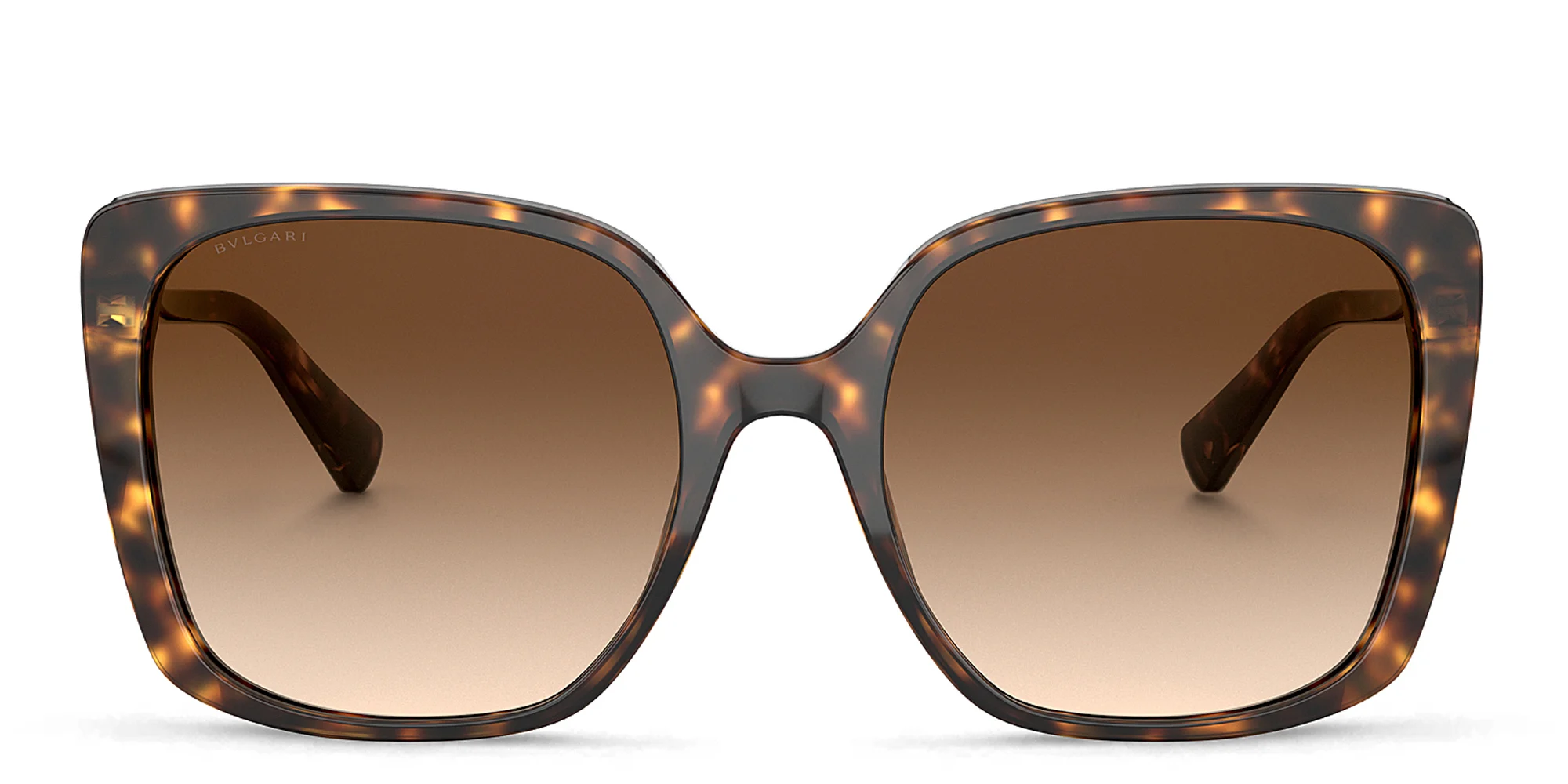 Shop BVLGARI Oversized Square Sunglasses in Dark Havana online.