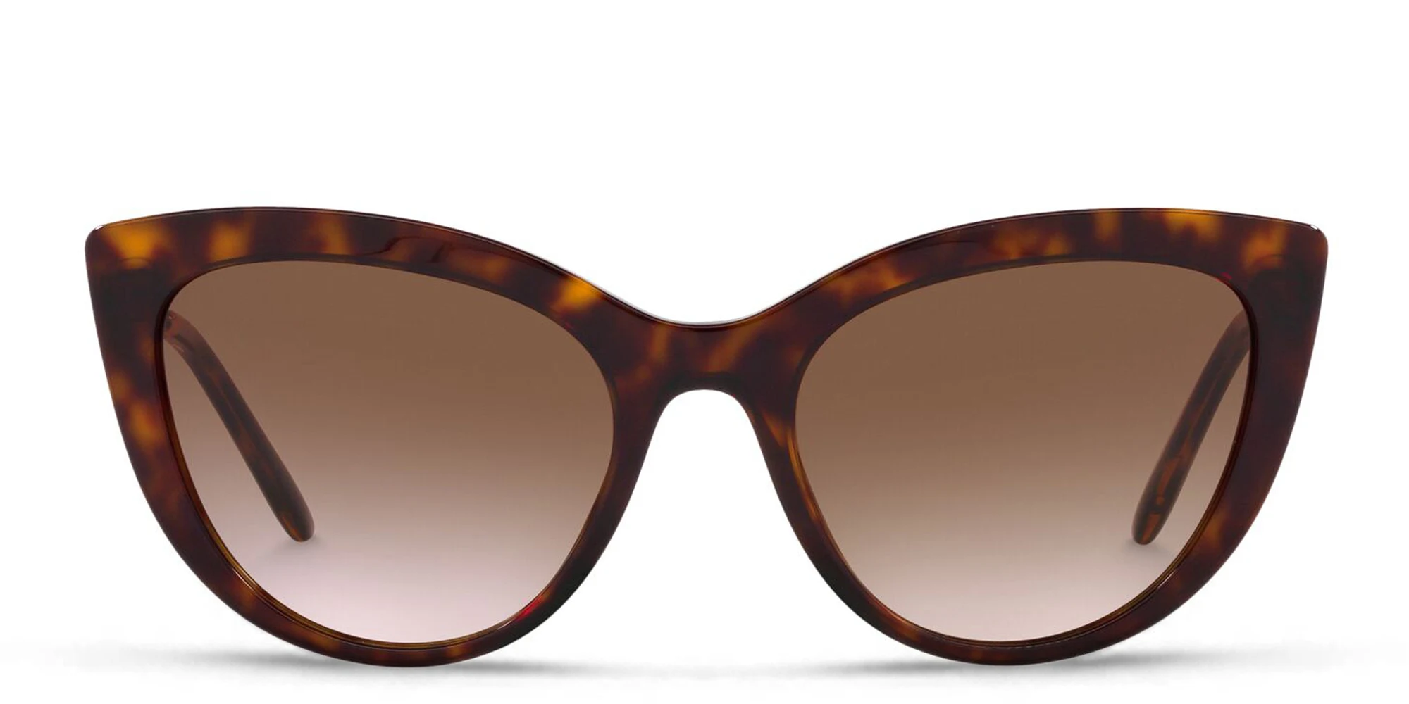 Shop Dolce & Gabbana Butterfly Sunglasses in Havana online.