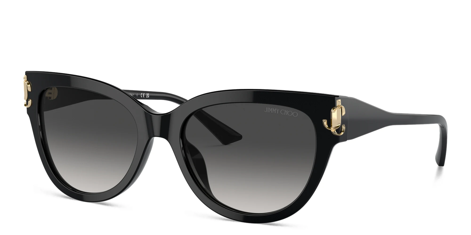Shop JIMMY CHOO JC Motif Cat-Eye Sunglasses in Black online.