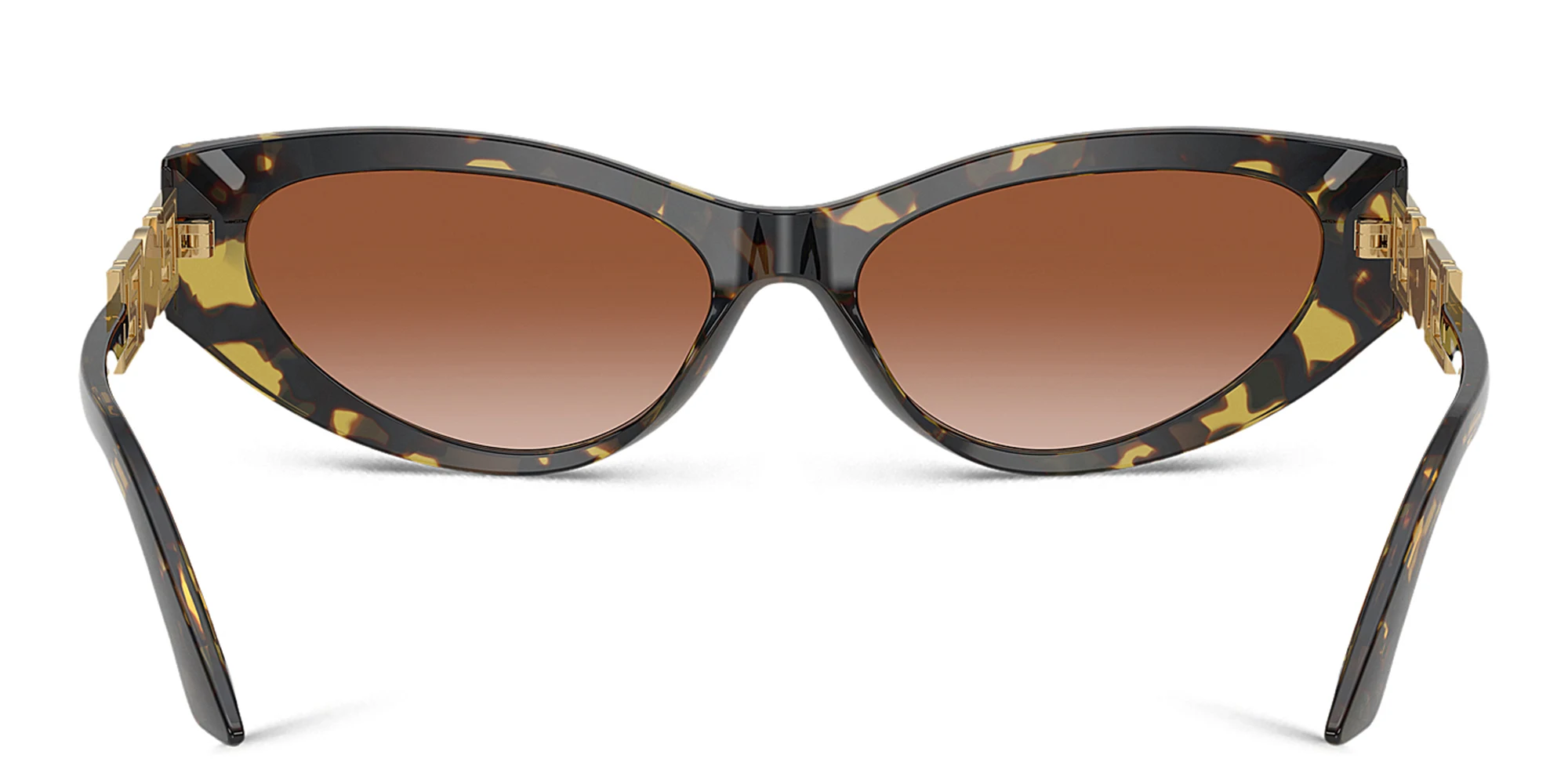 Shop VERSACE Medusa Cat-Eye Sunglasses in Havana online.