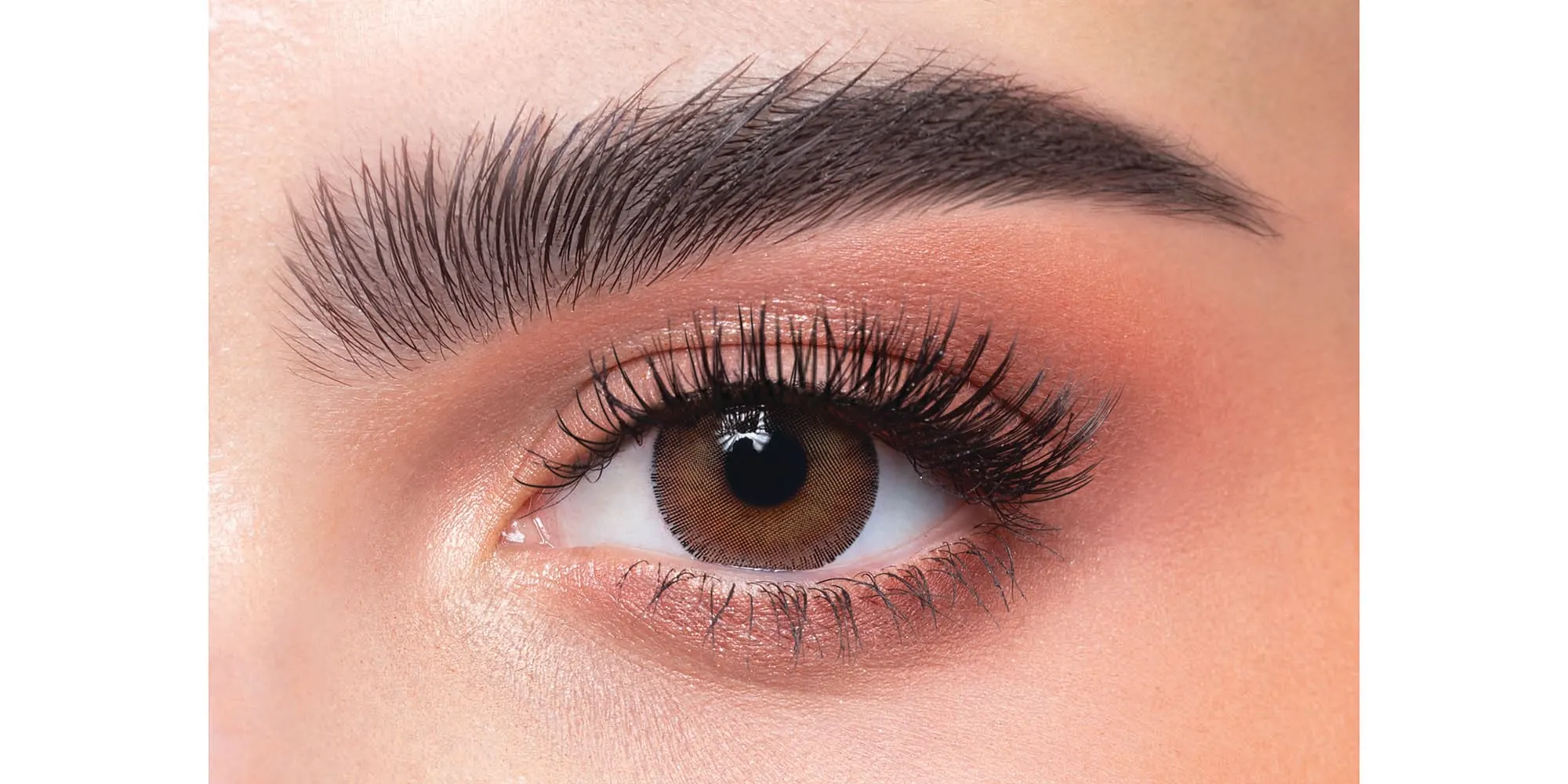 Shop DAHAB 1-Day Color Contact Lenses - Argan online.