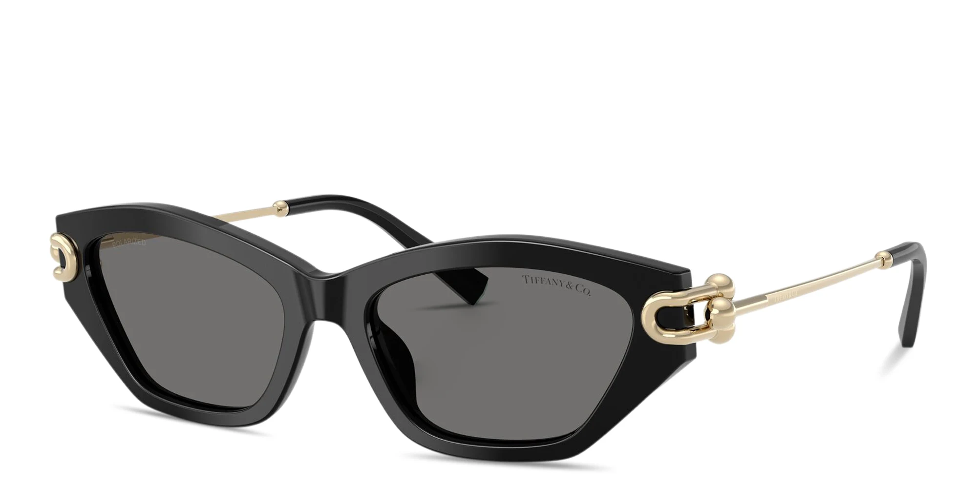 Shop TIFFANY Tiffany HardWear Cat-Eye Sunglasses in Black online.