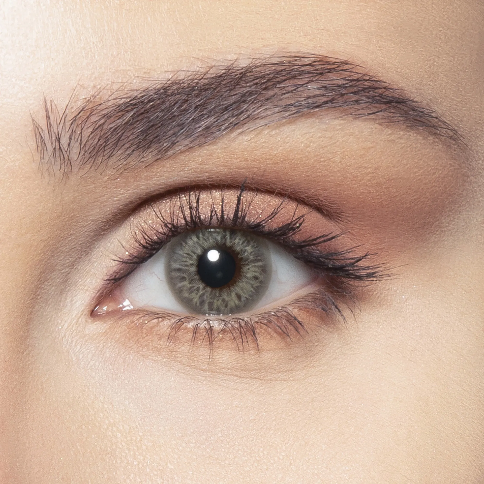 Shop Bella One-Day Color Contact Lenses - Earth online.