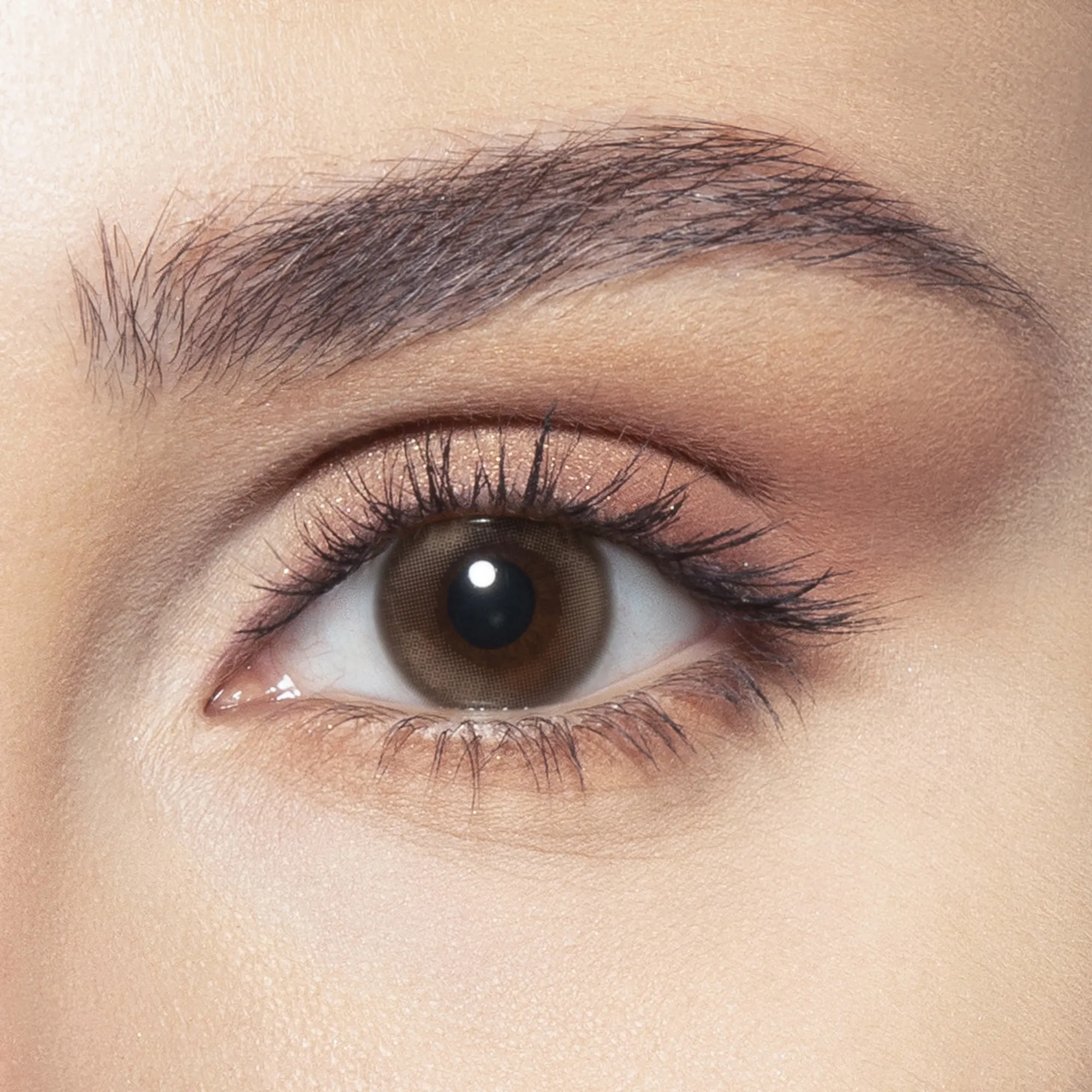 تسوق عدسات لاصقة ملوّنة للإستخدام الواحد - ڤينوس بيلا أونلاين.