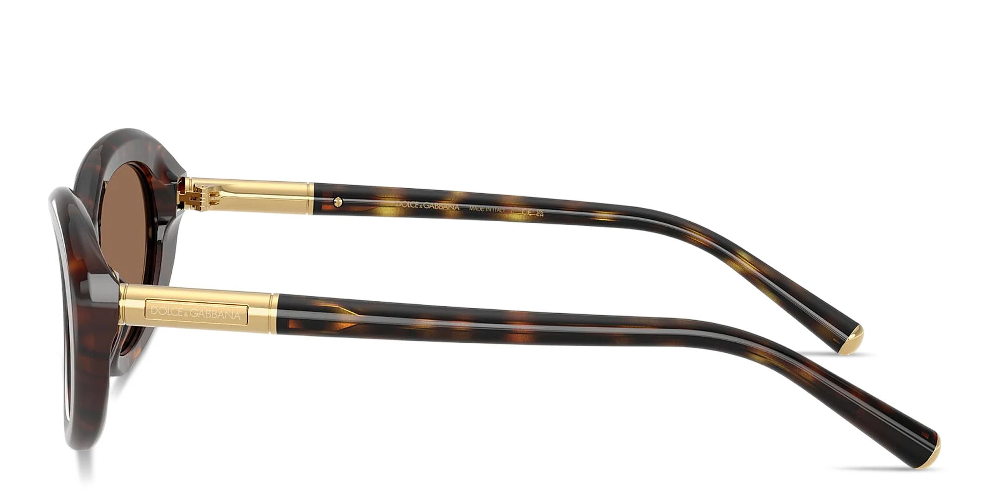 Shop Dolce & Gabbana Engraved Logo Oval Sunglasses in Havana online.