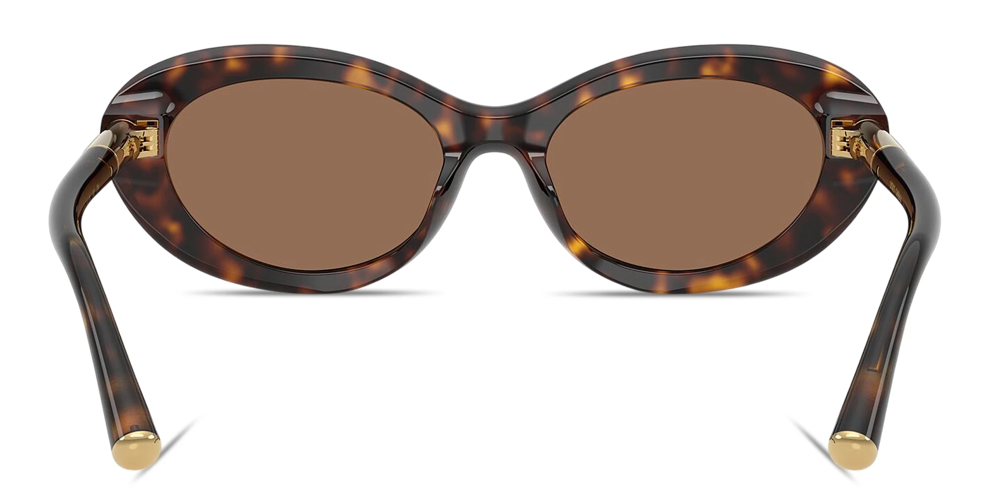 Shop Dolce & Gabbana Engraved Logo Oval Sunglasses in Havana online.