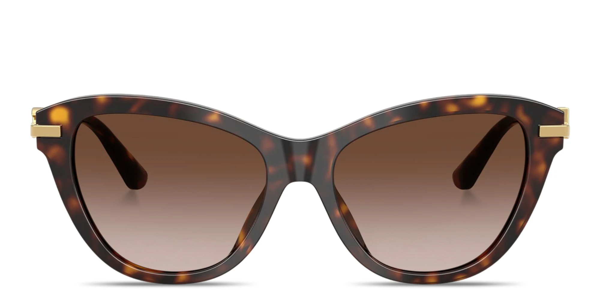 Shop Dolce & Gabbana DG Butterfly Sunglasses in Havana online.