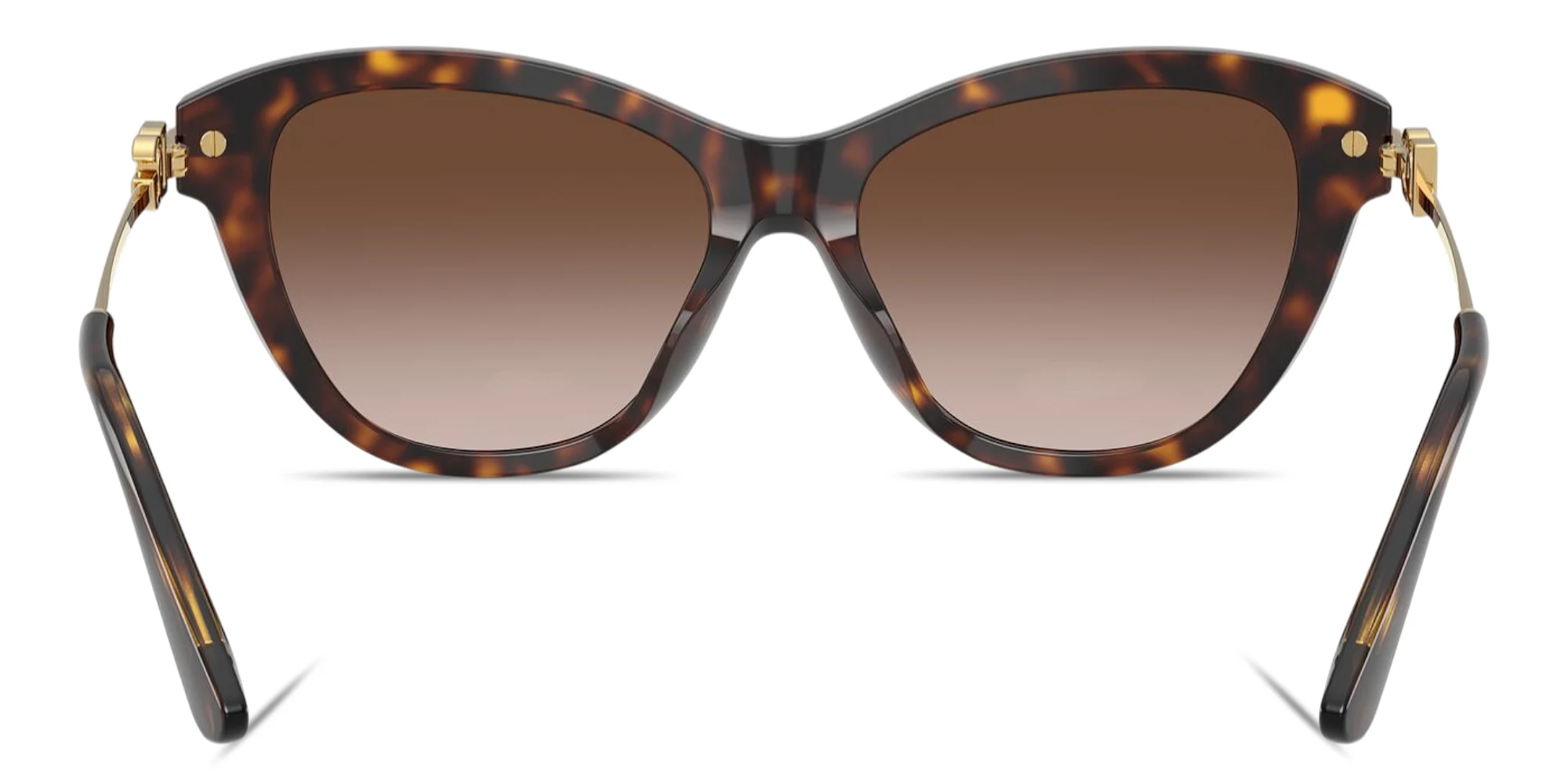 Shop Dolce & Gabbana DG Butterfly Sunglasses in Havana online.