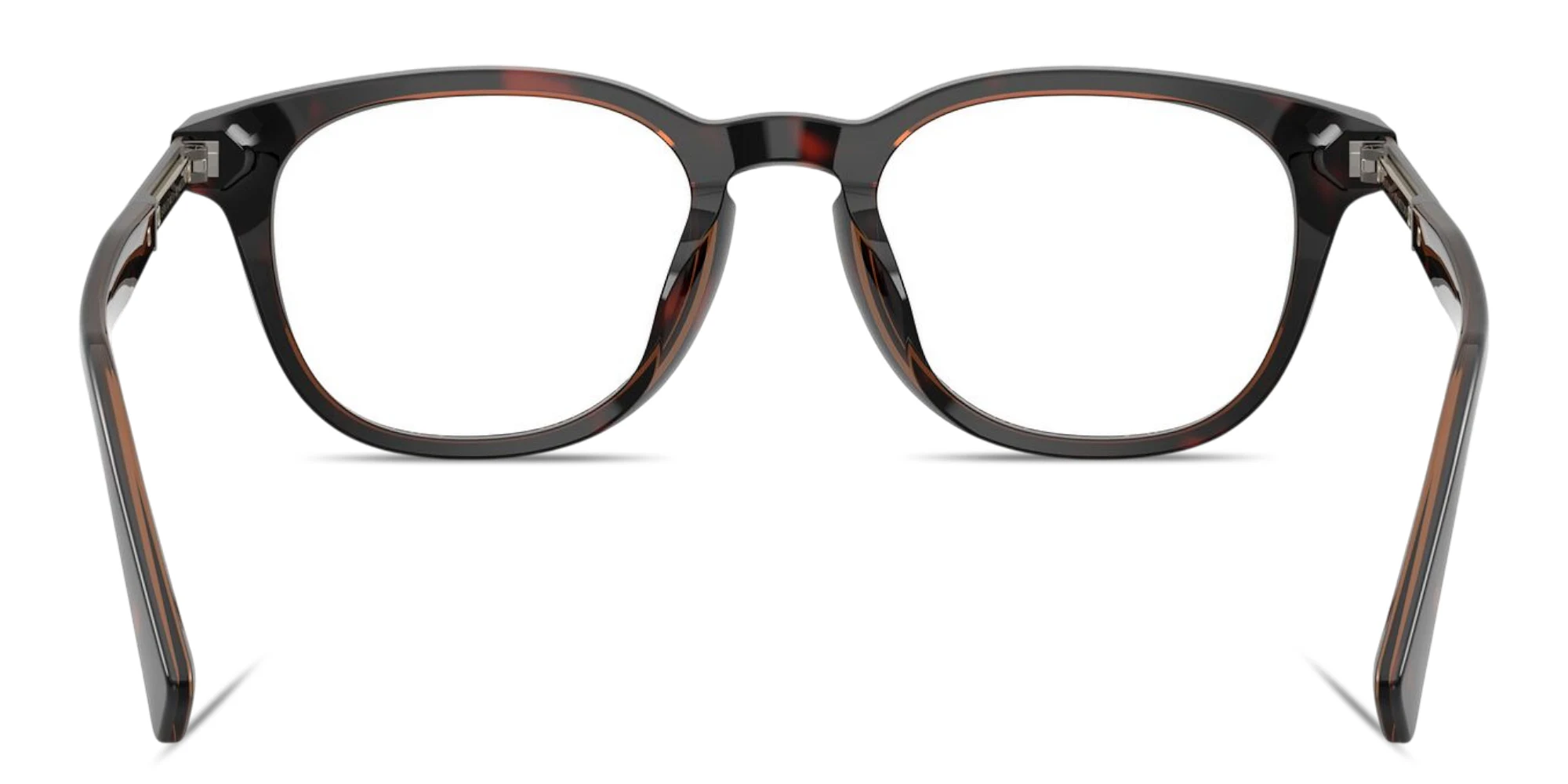Shop BRUNELLO CUCINELLI Logo Signature Unisex Pillow Eyeglasses in Havana Mogano online.