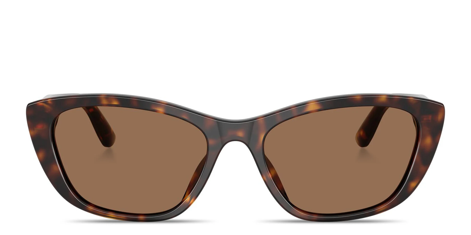Shop Dolce & Gabbana Logo Lettering Cat-Eye Sunglasses in Havana online.