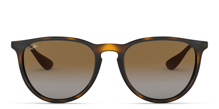 Shop Ray-Ban Erika Classic Panthos Sunglasses in Tortoise online.