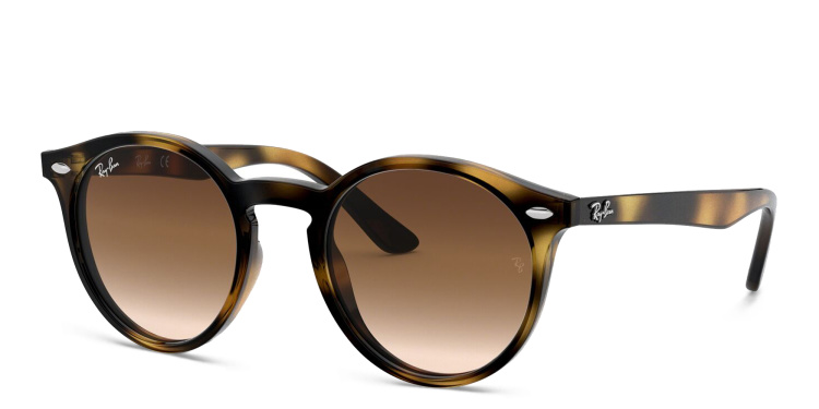 Shop Ray-Ban Junior Kids Glossy Panthos Sunglasses in Havana online.