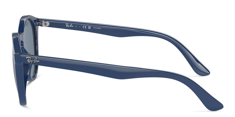 Shop Ray-Ban Junior Logo Kids Panthos Sunglasses in Blue online.