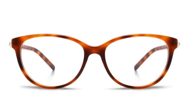 Shop JIMMY CHOO Cat Eye Eyeglasses in Havana online.