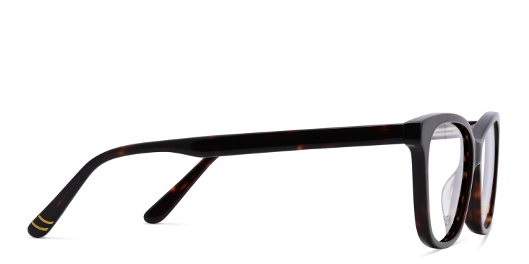 Shop EYE'M Kids Cat Eye Eyeglasses in Havana online.
