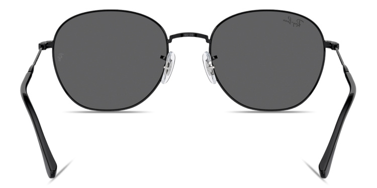 Shop Ray-Ban Logo-Engraved Unisex Panthos Sunglasses in Black online.