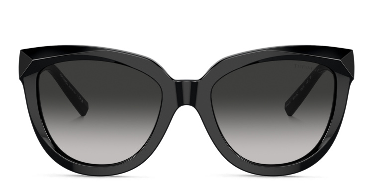 Shop TIFFANY T Motif Cat-Eye Sunglasses in Black online.