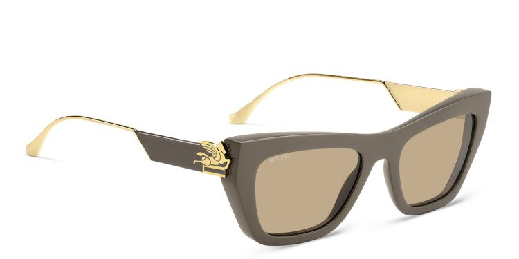 Shop ETRO Bold Pegaso Cat-Eye Sunglasses in Grey online.