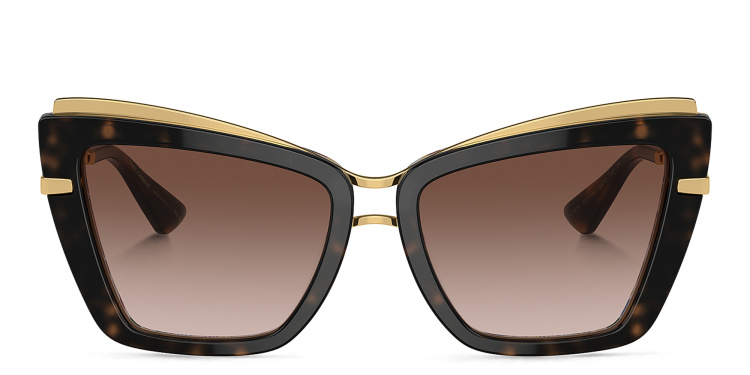 Shop Dolce & Gabbana Logo Cat-Eye Sunglasses in Havana online.