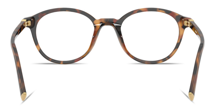 Shop MIU MIU Vertical Logo Panthos Eyeglasses in Havana online.