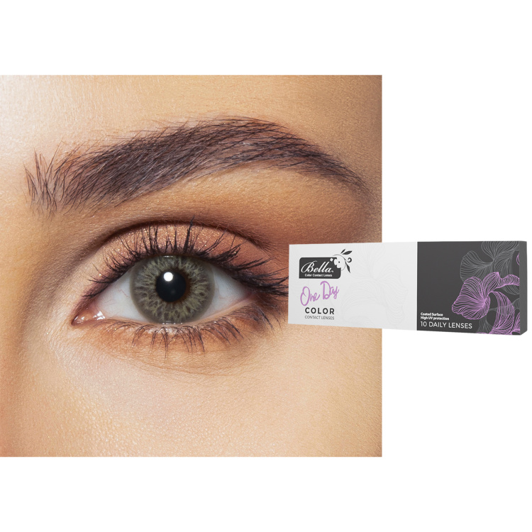 Shop Bella One-Day Color Contact Lenses - Earth in Grey online.