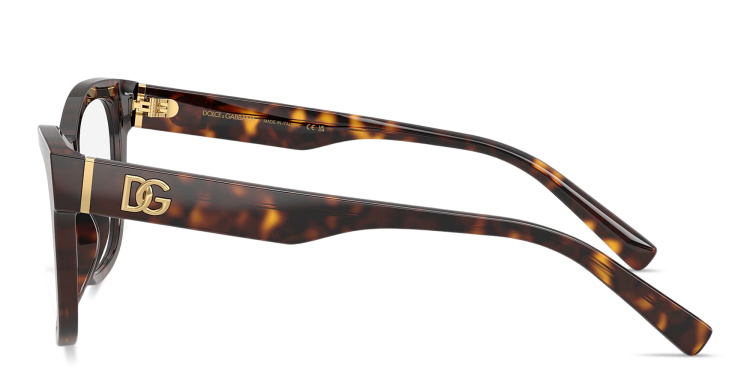 Shop Dolce & Gabbana DG Logo Square Eyeglasses in Havana online.