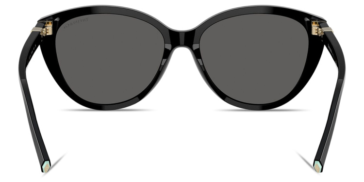 Shop TIFFANY Tiffany T Cat-Eye Sunglasses in Black online.