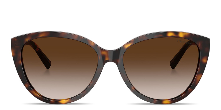 Shop TIFFANY Tiffany T Cat-Eye Sunglasses in Havana online.