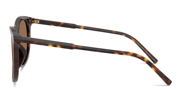 Shop Dolce & Gabbana Logo Signature Panthos Sunglasses in Havana online.