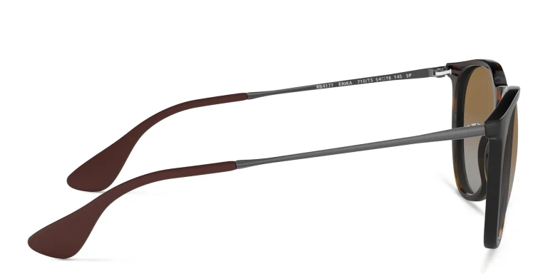 Shop Ray-Ban Erika Classic Panthos Sunglasses in Tortoise online.