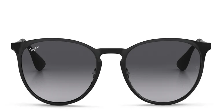Shop Ray-Ban Erika Metal Unisex Panthos Sunglasses in Black online.
