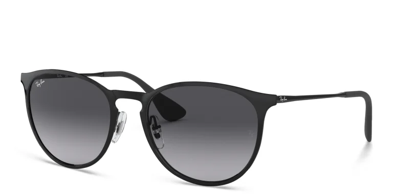 Shop Ray-Ban Erika Metal Unisex Panthos Sunglasses in Black online.