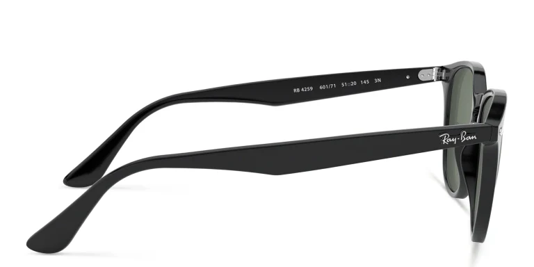 Shop Ray-Ban Panthos Sunglasses in Black online.