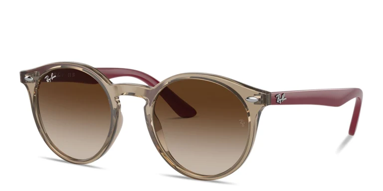 Shop Ray-Ban Junior Kids Panthos Sunglasses in Brown online.