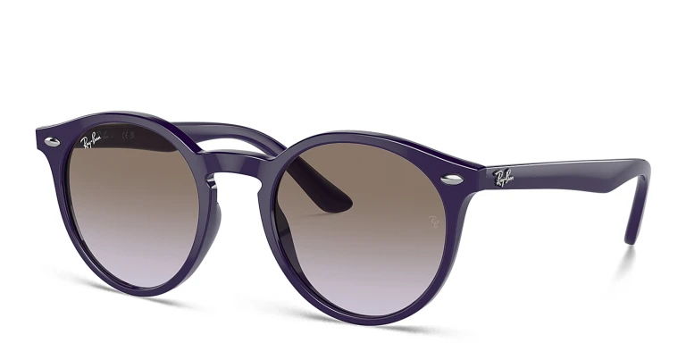 Shop Ray-Ban Logo Kids Panthos Sunglasses in Purple online.