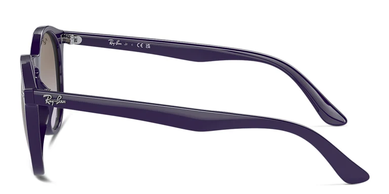 Shop Ray-Ban Logo Kids Panthos Sunglasses in Purple online.