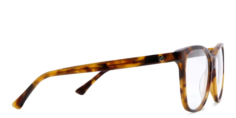 Shop EYE'M Square Eyeglasses in Havana online.