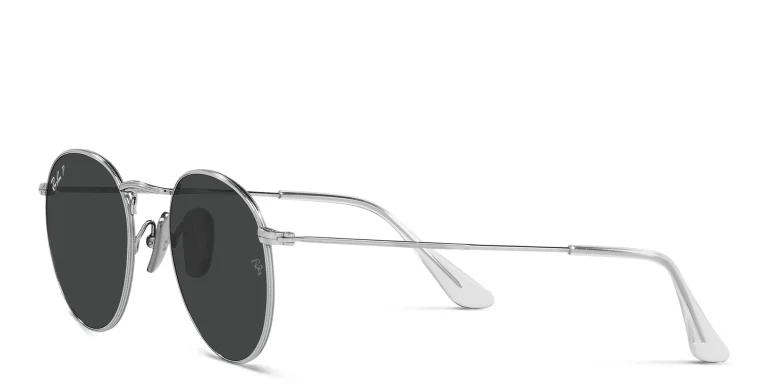 Shop Ray-Ban Unisex Panthos Sunglasses in Silver online.