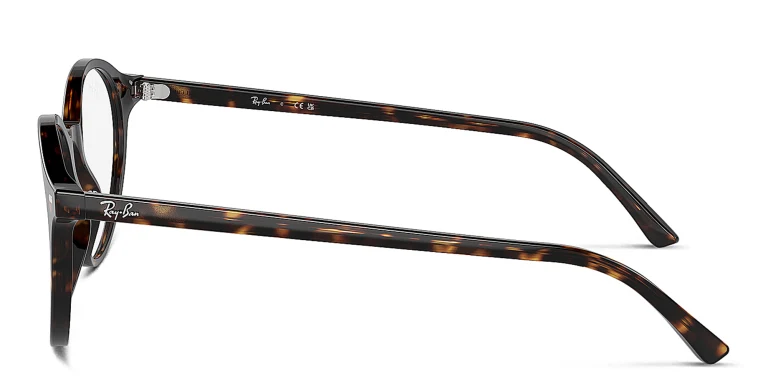 Shop Ray-Ban Bernard Optics Unisex Panthos Eyeglasses in Havana online.