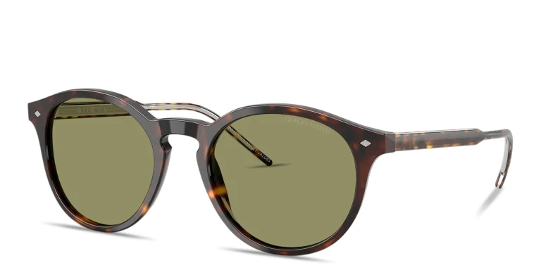Shop GIORGIO ARMANI Logo Signature Panthos Sunglasses in Havana online.