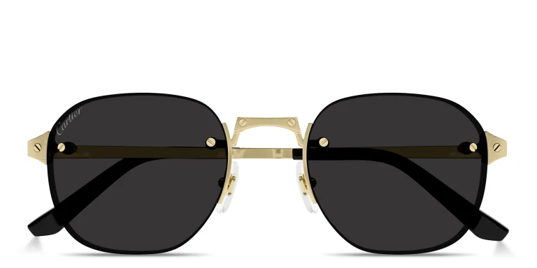 Shop Cartier Santos de Cartier Rimless Round Sunglasses in Gold online.
